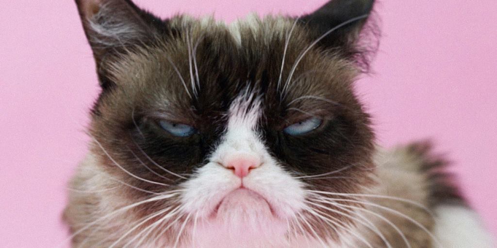 10 Most Iconic Internet Memes of All Time — ChatGPT’s Definitive Ranking 7 Grumpy Cat 2012