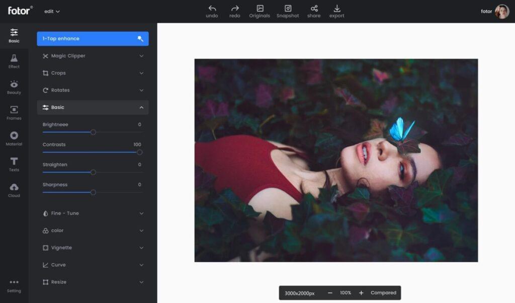 Top 10 AI Graphic Design Tools to Boost Creativity 6 fotor