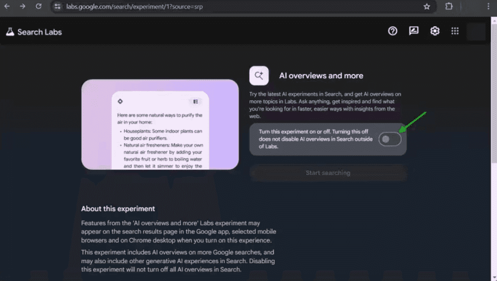 Google AI Overview