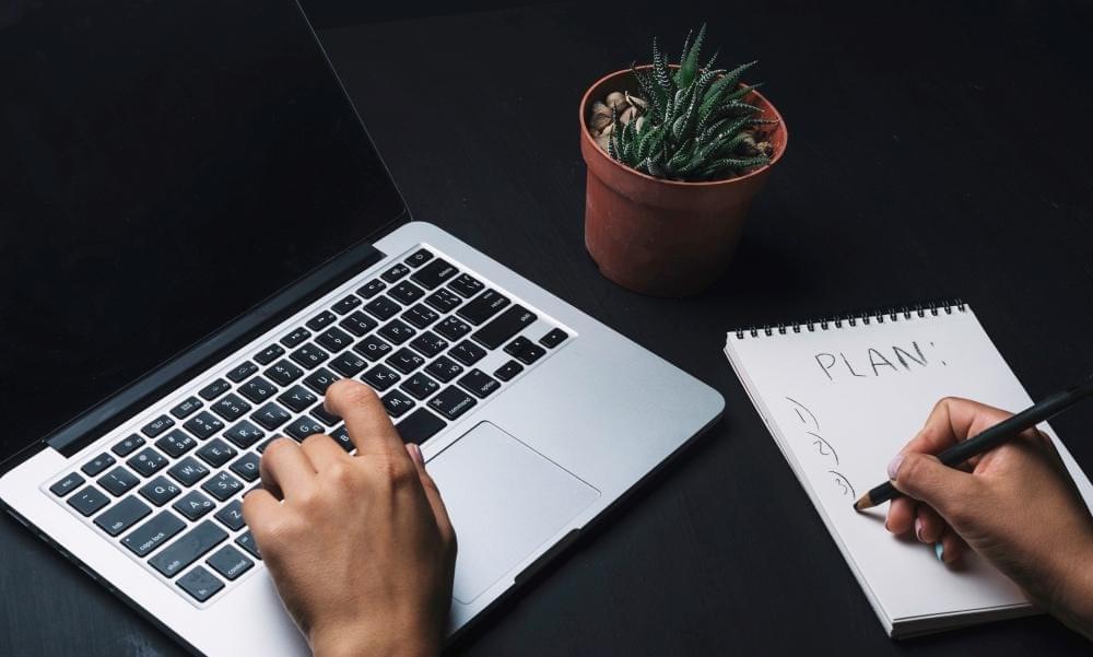 content writer