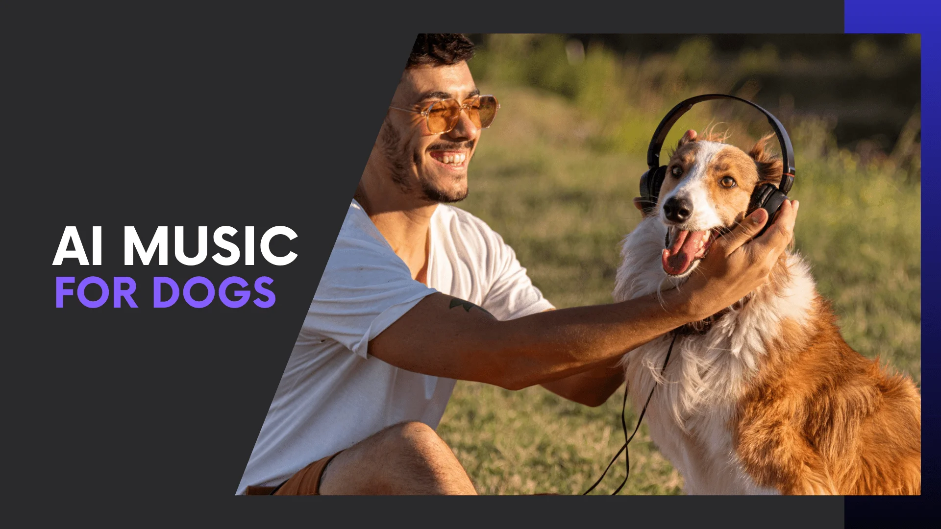 You are currently viewing AI Music for Dogs: Can Algorithms Create Pet-Friendly Songs?