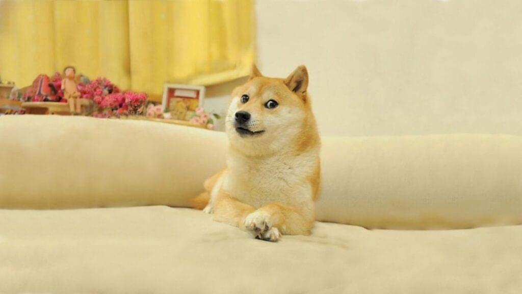 1. Doge 2013