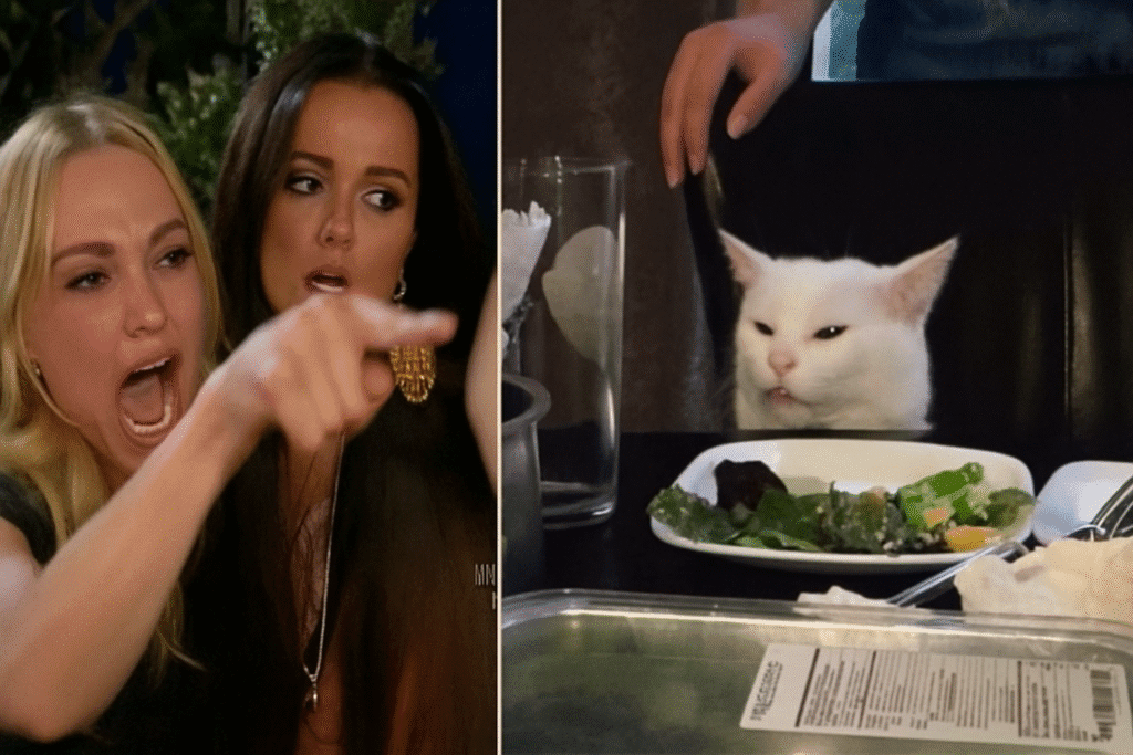 Woman Yelling at a Cat 2019
