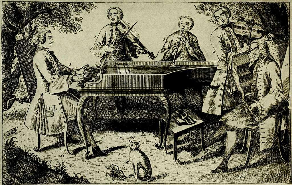 the orchestra and its instruments