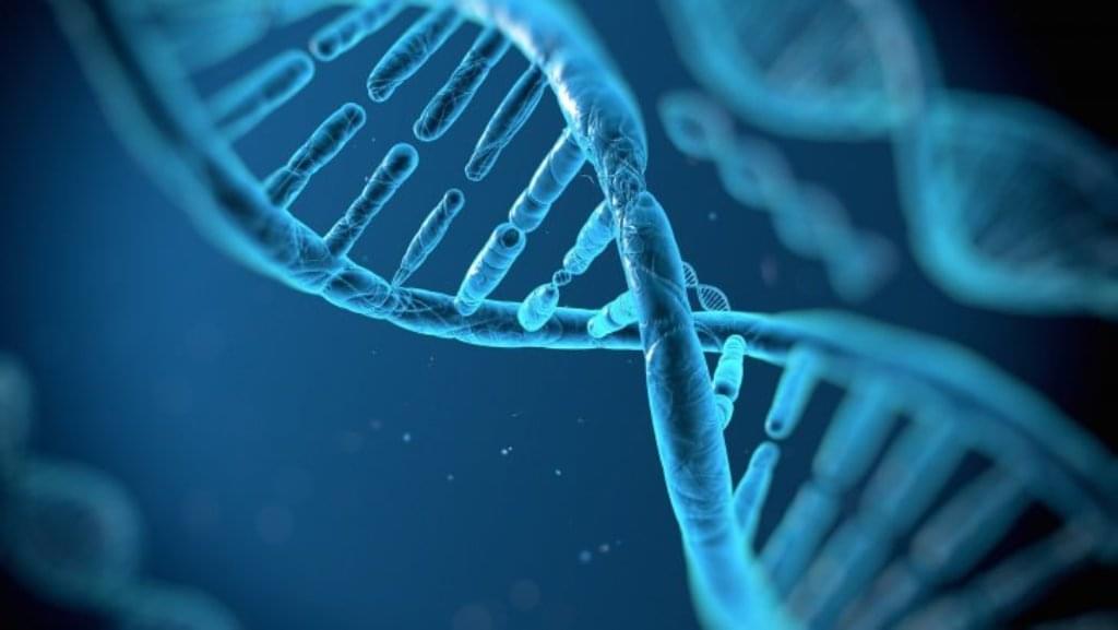 Read more about the article DeepMind’s AlphaGenome Could Change How We Understand DNA—and Disease